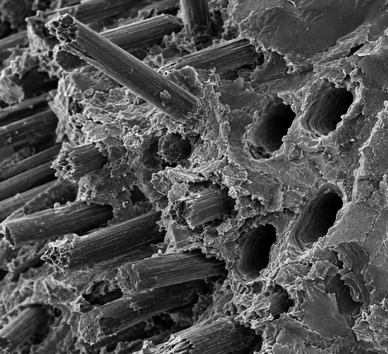 Fibre pull-out in a composite surface